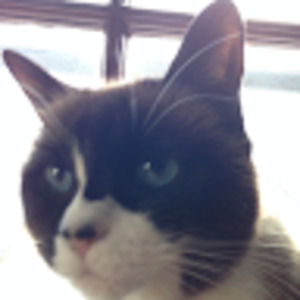 Meet your Posher, Peter